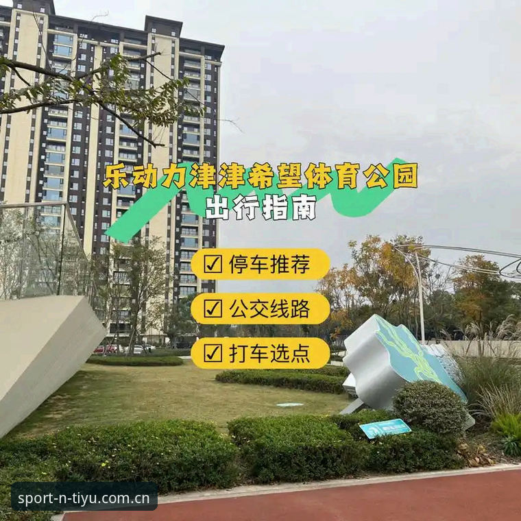N体育平台实用指南：老用户教你轻松找到官方入口与互动技巧