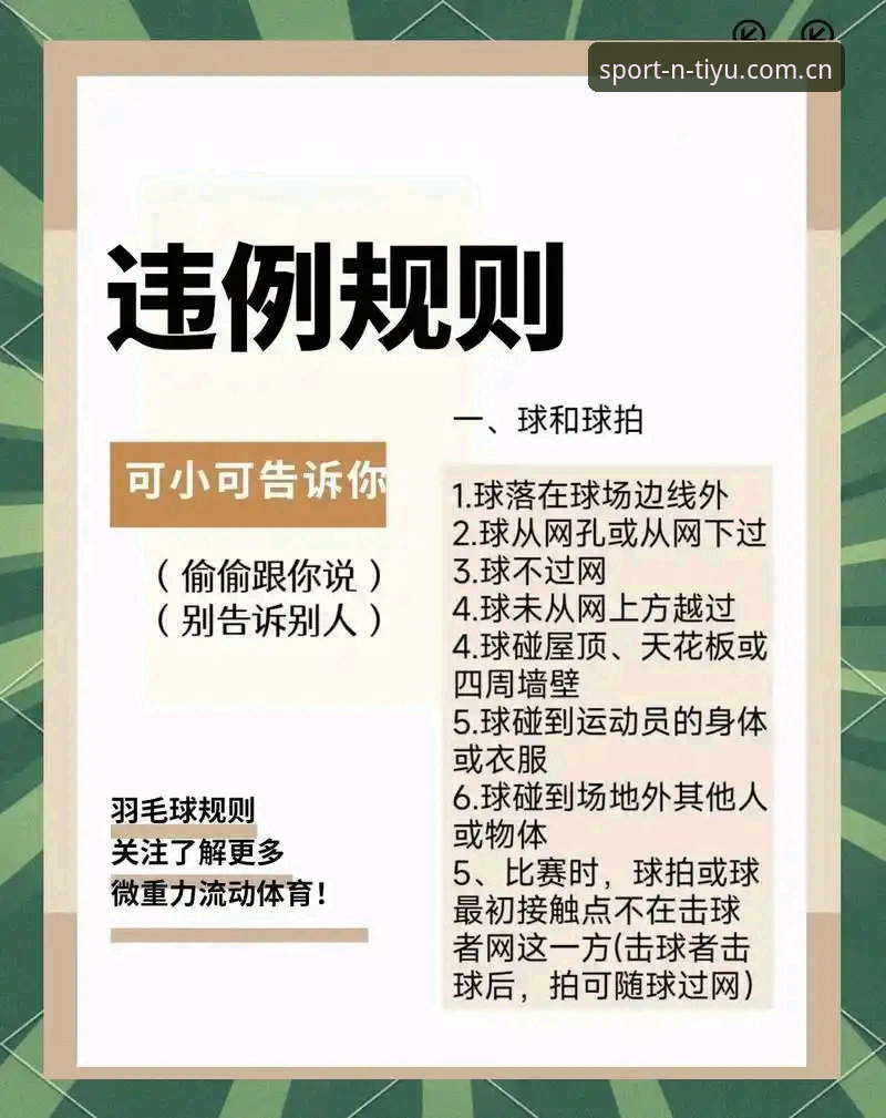 N体育官网安全使用指南：资深用户教你避开陷阱