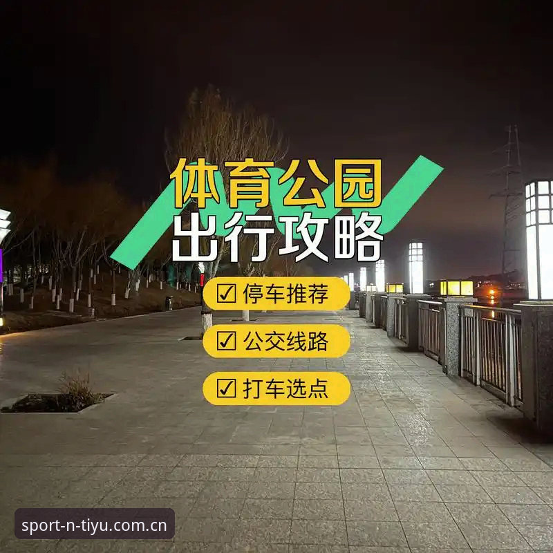 N体育平台下载安装与官方入口定位完整指南